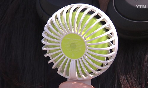 아침거미 이미지