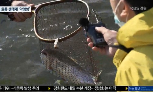 부흥방앗간 이미지