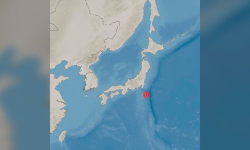 바다생선 이미지