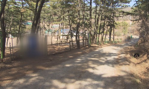 바다의숲펜션 이미지