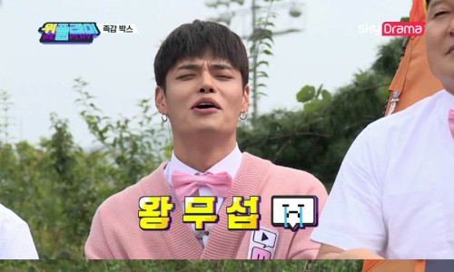 위플레이스포츠 이미지