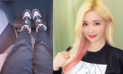 탑나래 이미지