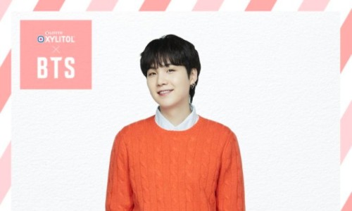 오렌지슈가 이미지