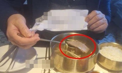 백미월드 이미지