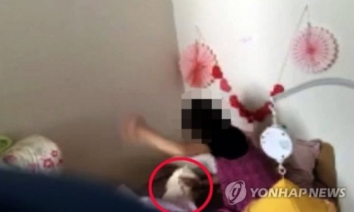 닥터맘(성북/강북/도봉/노원) 이미지