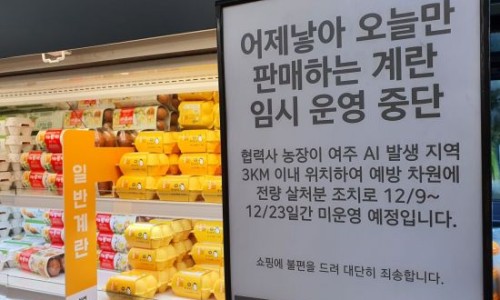 파동마트 이미지