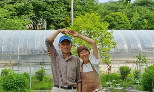 화순허브뜨락 이미지