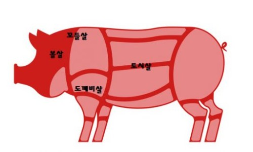 쫄면돼지 이미지