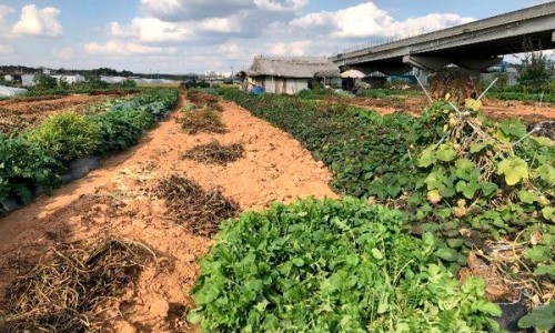 대곡부동산 이미지