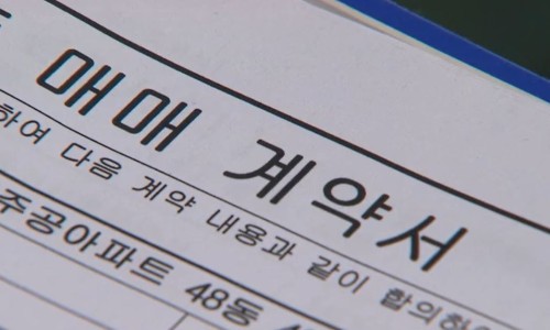 피티클럽 이미지