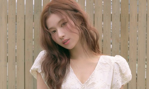 햇살아래 이미지