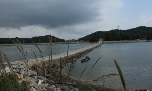 (주)돌봄여행사 이미지