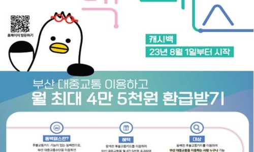 동백차이 이미지