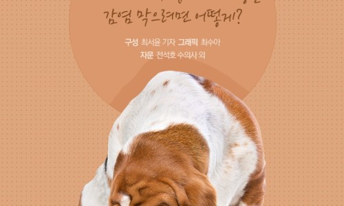 미소김밥 이미지