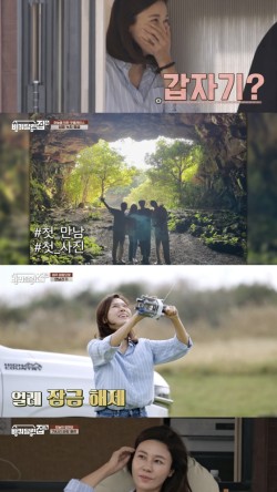 성읍녹차마을영농조합법인 이미지