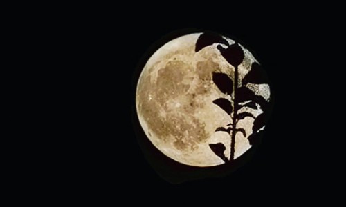 호수슈퍼 이미지