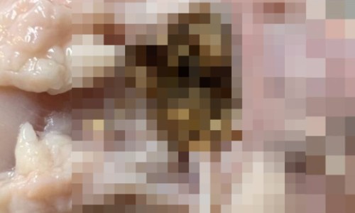 하림생닭 이미지