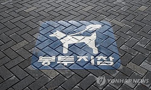 개똥통신 이미지
