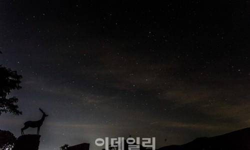 제주의별 이미지