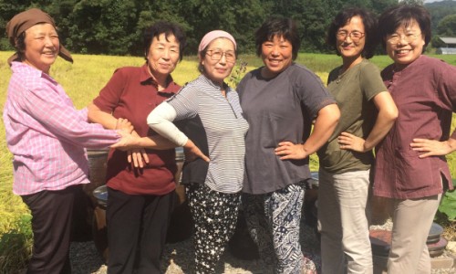 언니네식탁 이미지
