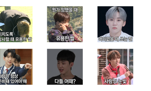 고잉고잉컴퍼니 이미지