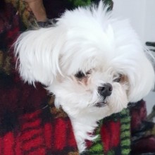 코딩장 이미지