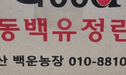 나나랜드 이미지