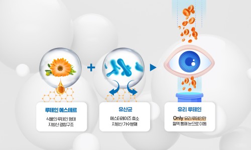 시너지랩 이미지