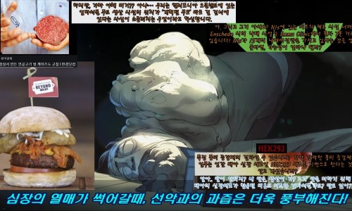 신장미트 이미지