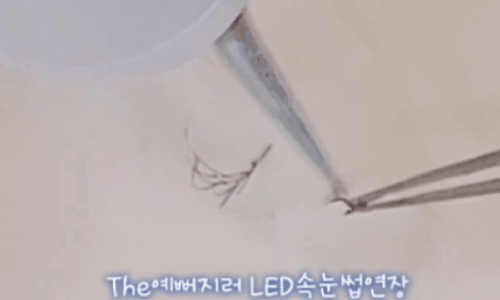 the 예뻐지러 이미지