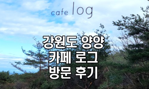 이치비 이미지