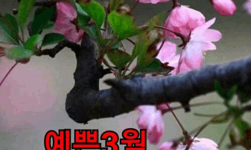 풀꽃향기 이미지