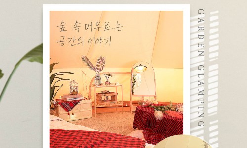 스테이더딜라잇 이미지