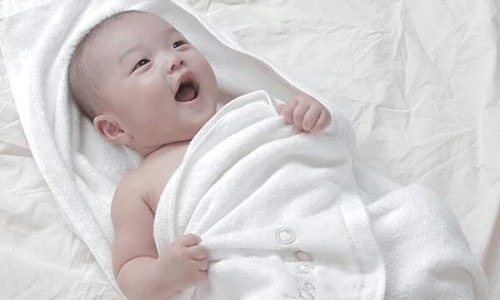 파모어 이미지