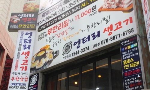 엉터리생고기 이미지