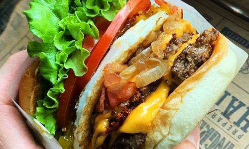 바스버거국회의 이미지