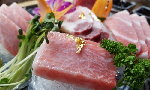 인생참치 사진 5