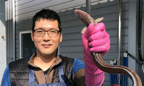 싱싱바다장어 이미지