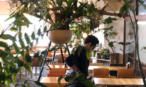 쇼카페(SHOW CAFE) 이미지