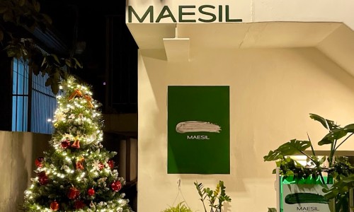 매실(maesil) 이미지