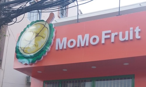 모모과일 이미지