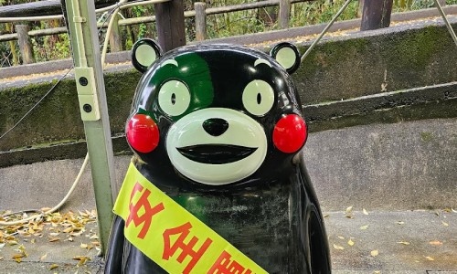 오즈렌터카 이미지