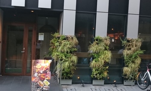 토리(Tori) 이미지