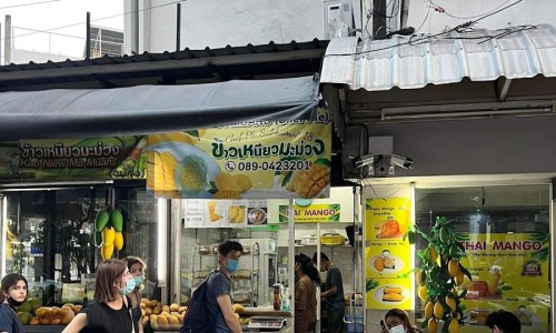 블루망고투어 이미지