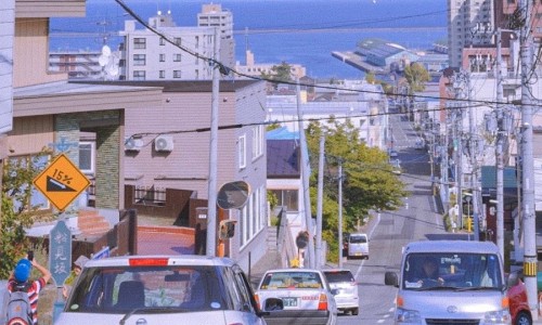 스시러브 이미지