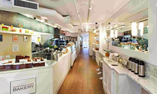 시티뉴욕(City New York) 이미지