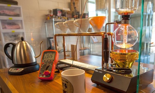 커피트리(COFFEE TREE) 이미지