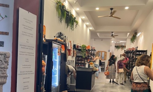 오렌지트리(Orange tree) 이미지