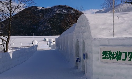 카페인고한 이미지