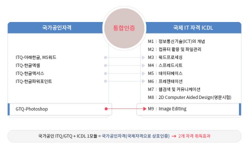 씨드런 이미지